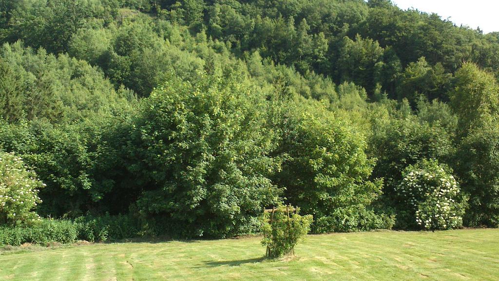 Villa La Clé des Champs Bertogne Esterno foto