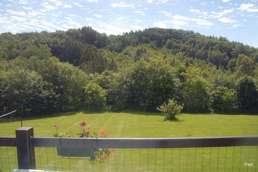 Villa La Clé des Champs Bertogne Esterno foto