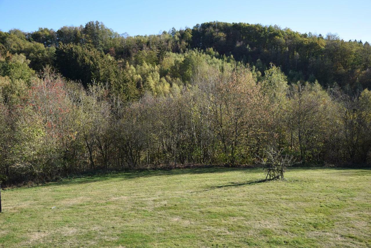 Villa La Clé des Champs Bertogne Esterno foto